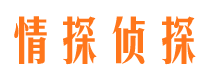 武都情探私家侦探公司